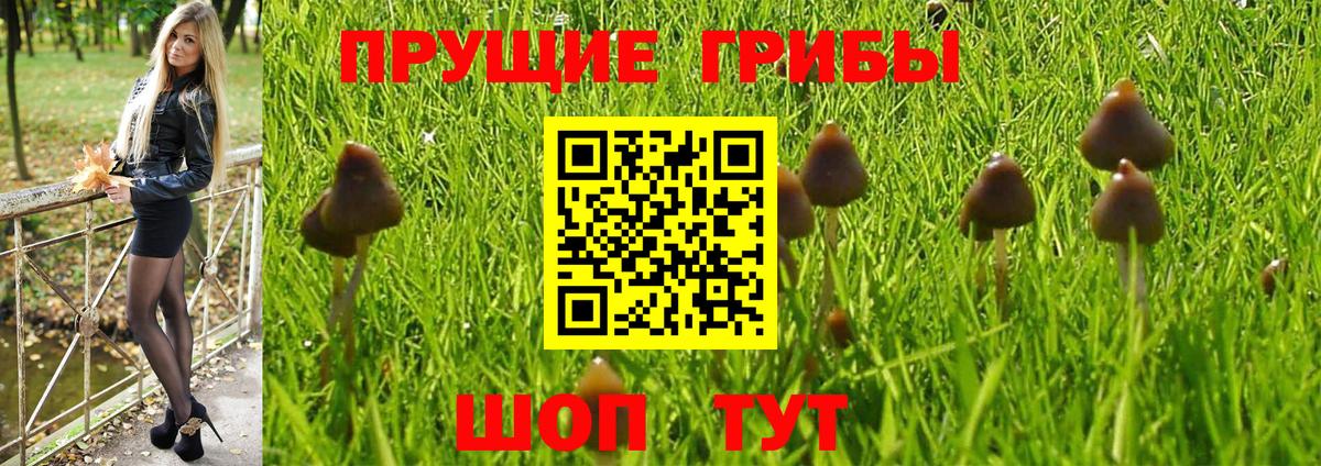 Галлюциногенные грибы мухоморы  Вход с VPN  Лесосибирск 