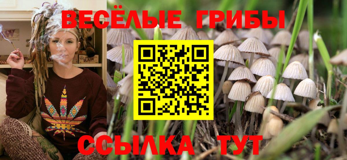 Галлюциногенные грибы GOLDEN TEACHER Лесосибирск